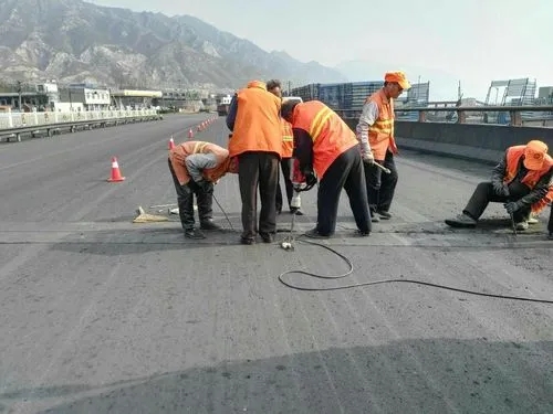 嘉善道路桥梁病害治理